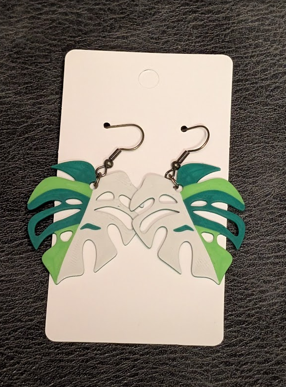 Monstera multi-color
