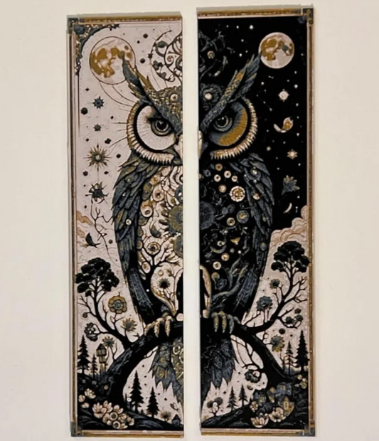 DuOWLity - Set