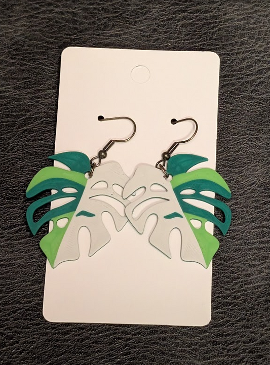 Monstera multi-color